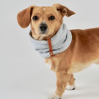 Inko Light Melange Grey Dog Scarf by Labbvenn