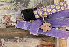 Lily Apple Spot Dog Collar and Lead Set