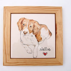 Personalised Pet Portrait Framed Plaque