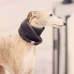 Wooldog Necky Dark Graphite Grey Dog Neck Cowl