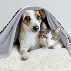 Luxury Personalised Pet Blankets In Silver Grey With Black/Cream Spots