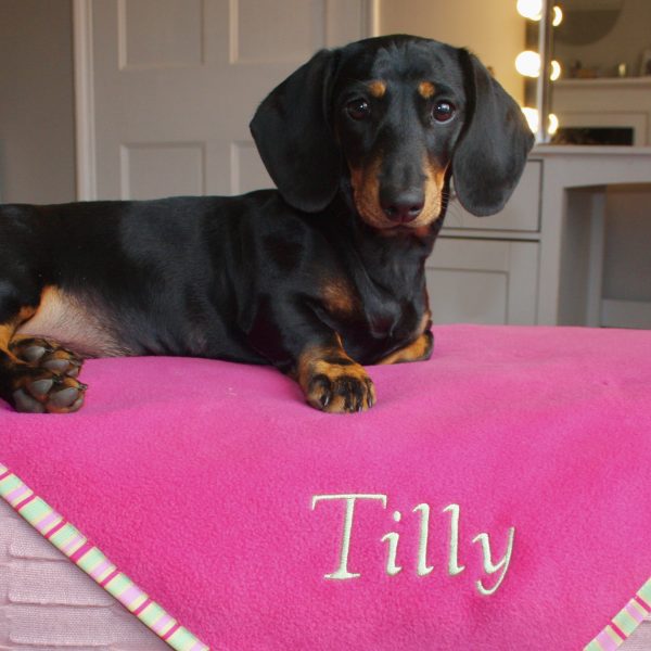 Luxury Personalised Pet Blankets In Cerise Pink & Green Apple Stripe