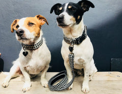 Mono Harris Tweed Black and White Dogtooth Designer Dog Collar