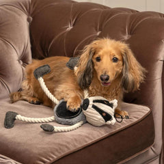 Baxter Badger Plush Dog Toy | Mutts & Hounds