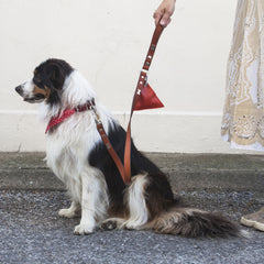 Red Triangle Leather Poo Bag Pouch