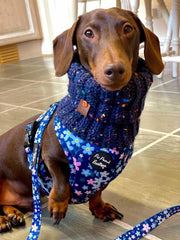 Blue Confetti Roll Top Snood For Dogs