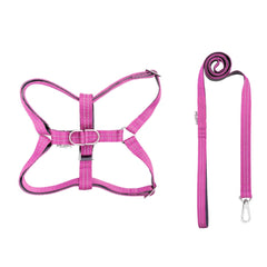 Bowl and Bone Active Pink Dog Harness and Lead Set