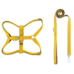 Bowl and Bone Active Yellow Dog Harness and Lead Set