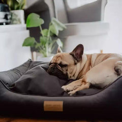 Bowl and Bone Classic Dog Bed Graphite