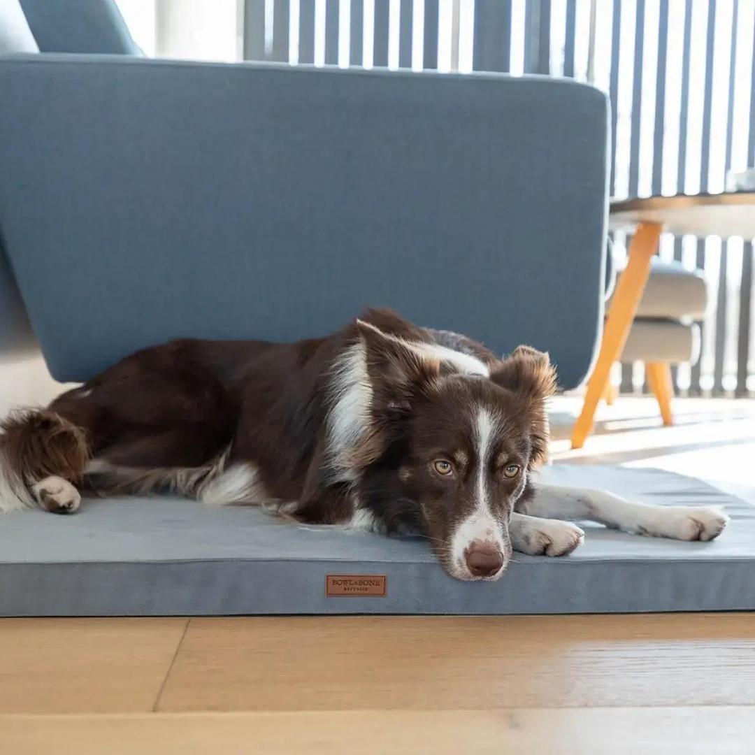 Bowl and Bone Classic Grey Foam Dog Mat