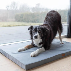 Bowl and Bone Classic Grey Foam Dog Mat