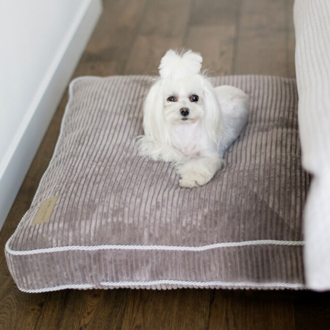 Bowl and Bone Deco Silver Dog Bed Cushion