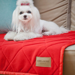 Bowl and Bone Royal Dog Blanket