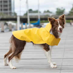 Bowl and Bone Storm Dog Raincoat
