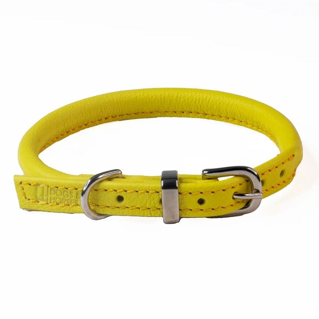 Bright yellow dog collar deals