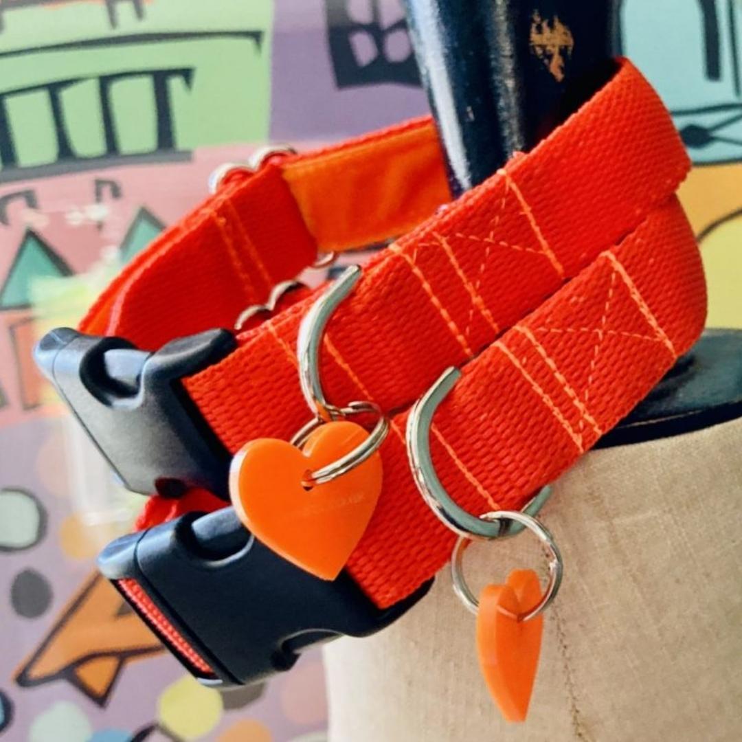 Brighton Beach Orange Dog Collar