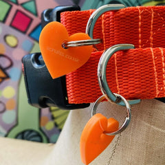 Brighton Beach Orange Dog Collar