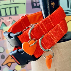 Brighton Beach Orange Dog Collar