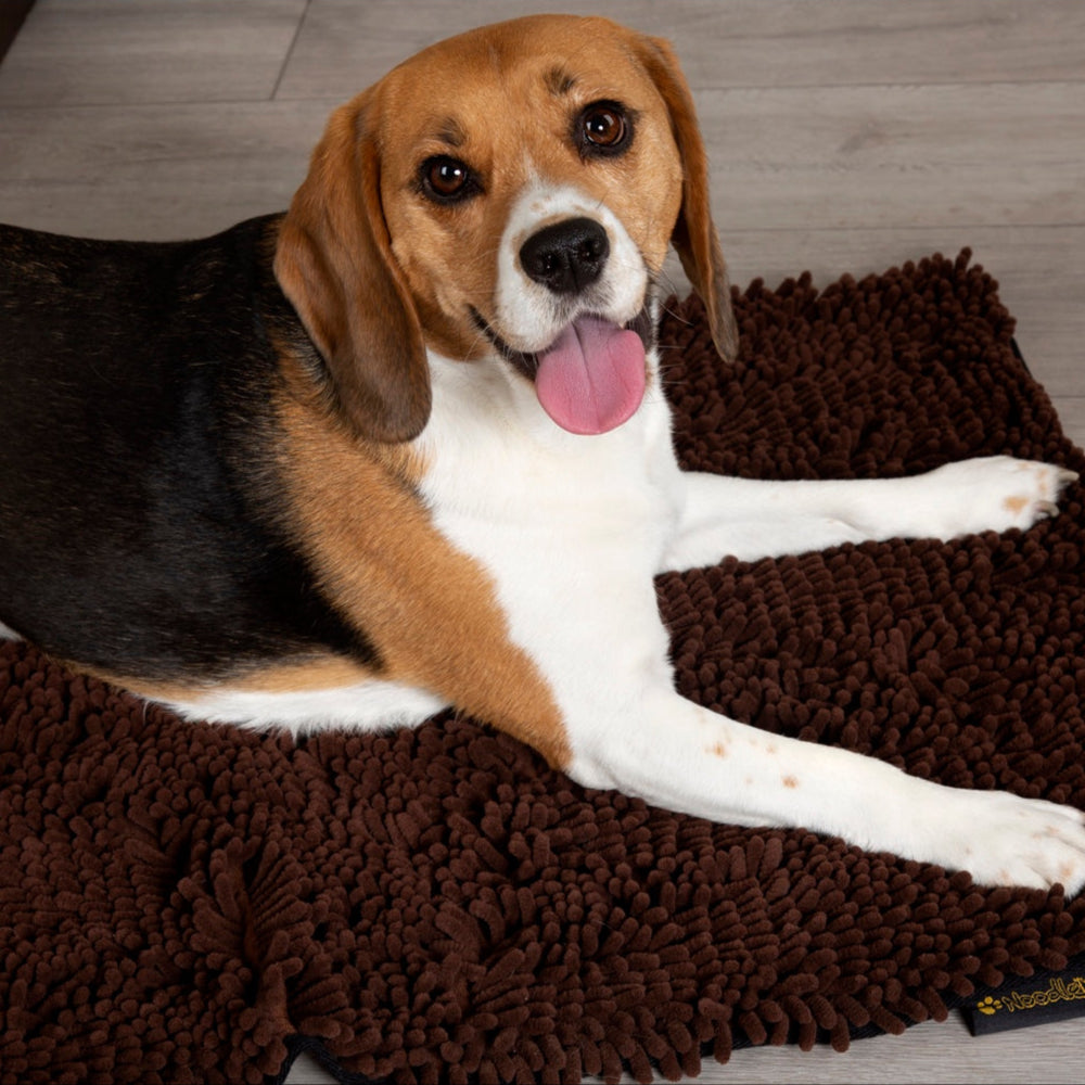 Scruffs Noodle Dry Mat Chocolate