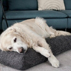 BUKLAA Anthracite Boucle Cushion Dog Bed by Labbvenn