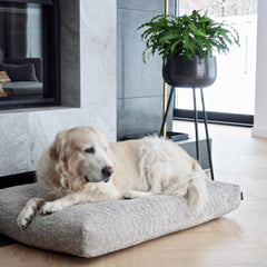 BUKLAA Light Beige Boucle Cushion Dog Bed by Labbvenn