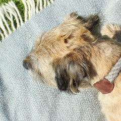 Charcoal & Ecru Herringbone Wool Rugleton | Twool