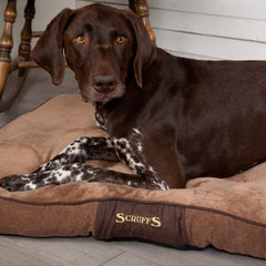 Scruffs Chester Dog Mattress Chocolate | Luxury Dog Beds