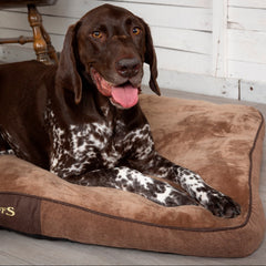 Scruffs Chester Dog Mattress Chocolate | Luxury Dog Beds