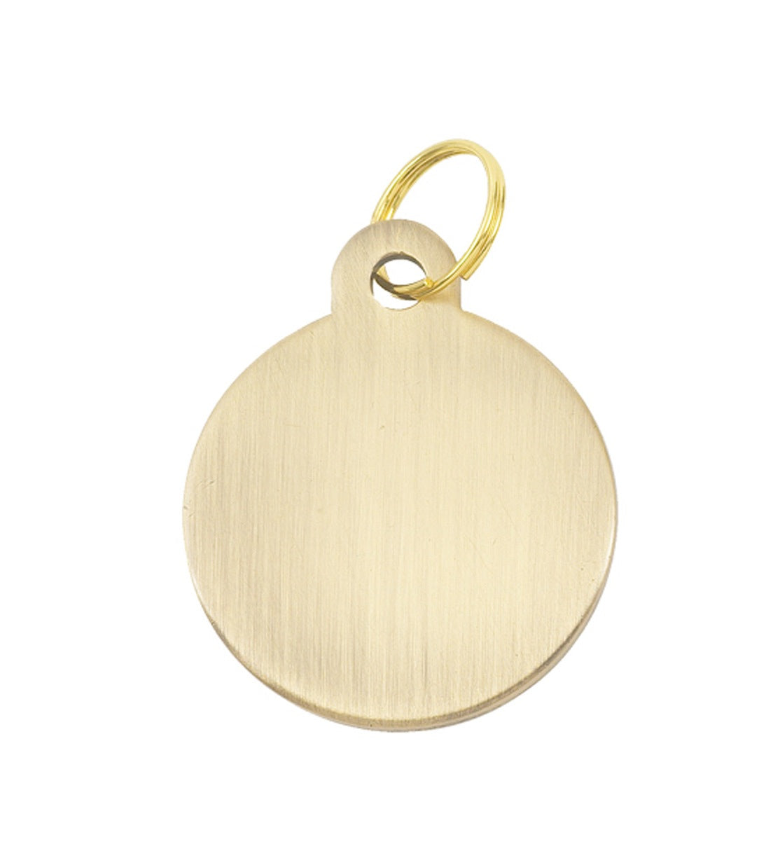 Chunky Brass Hooped Designer Dog Tag