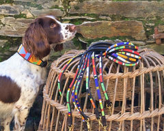 Luxury Leather Beaded Dog Leads