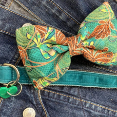 Club Tropicana Teal Velvet Dog Collar With Detachable Bow Tie | Scrufts
