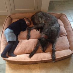 Cookie Dough Brown Fleece Cradle Dog Bed XXL