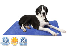 Scruffs Dog Cooling Mat | Cooling Mat For Dogs