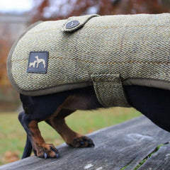 Country and Twee Green Tweed Waterproof Dachshund Dog Coat