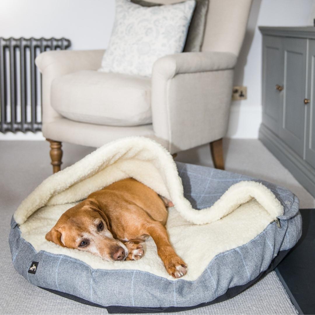Country and Twee Grey Check Cave Dog Bed Chelsea Dogs