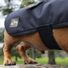 Country and Twee Waterproof Black Dachshund Dog Coat