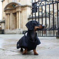 Country and Twee Waterproof Black Dachshund Dog Coat