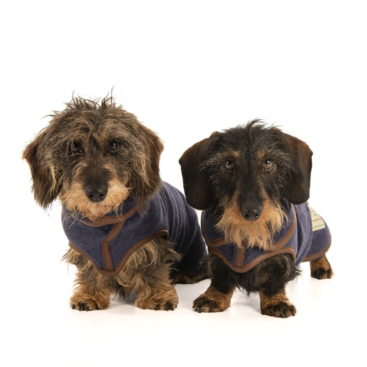 Country Collection Drying Dachshund Dog Coat French Navy by Ruff And Tumble