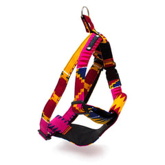 Dakar Dog Harness by Hiro and Wolf
