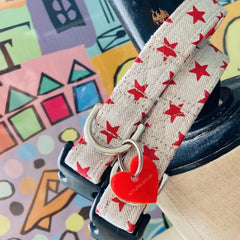 Dallas Texas Star Designer Dog Collar