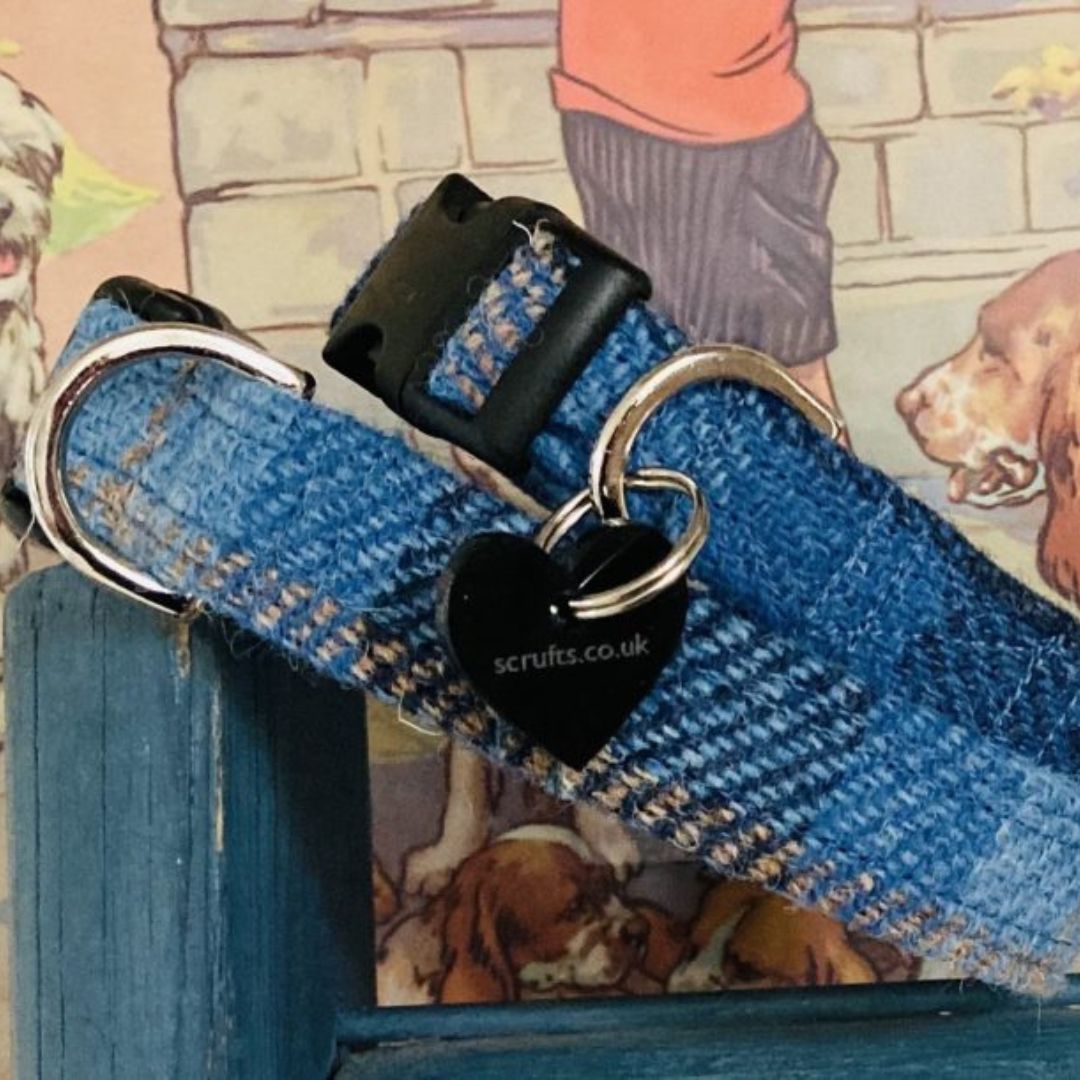 Denim Blue Harris Tweed Dog Collar | Handmade Dog Collars UK