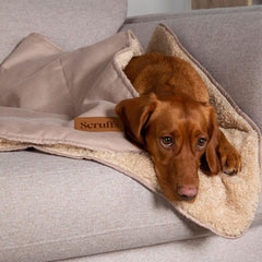 Desert Sand Snuggle Pet Blanket | Scruffs