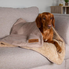 Desert Sand Snuggle Pet Blanket | Scruffs