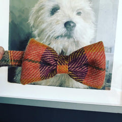 Ginger Harris Tweed Bow Tie Designer Dog Collar