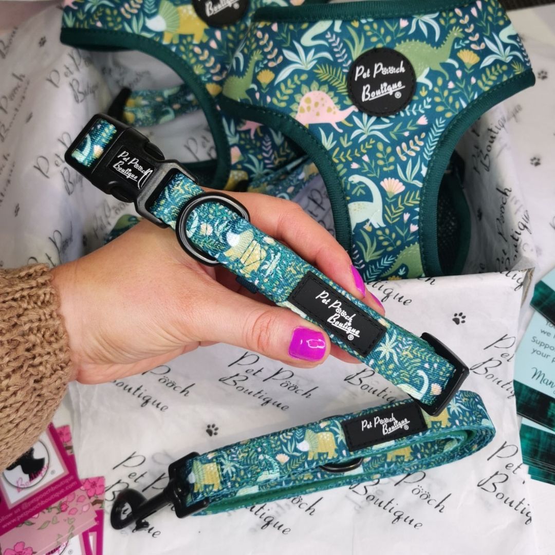 Dino Rawr Dog Collar | Pet Pooch Boutique