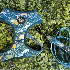 Dino Rawr Dog Collar | Pet Pooch Boutique