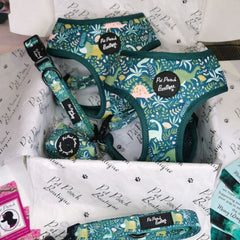 Dino Rawr Poo Bag Holder | Pet Pooch Boutique