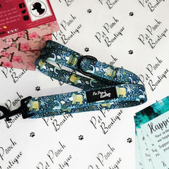 Dino Rawr Dog Lead | Pet Pooch Boutique