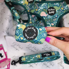 Dino Rawr Poo Bag Holder | Pet Pooch Boutique