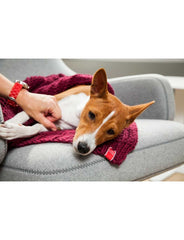 Wooldog Chunky Hand-Knitted Rosebud Pet Blanket Burgundy